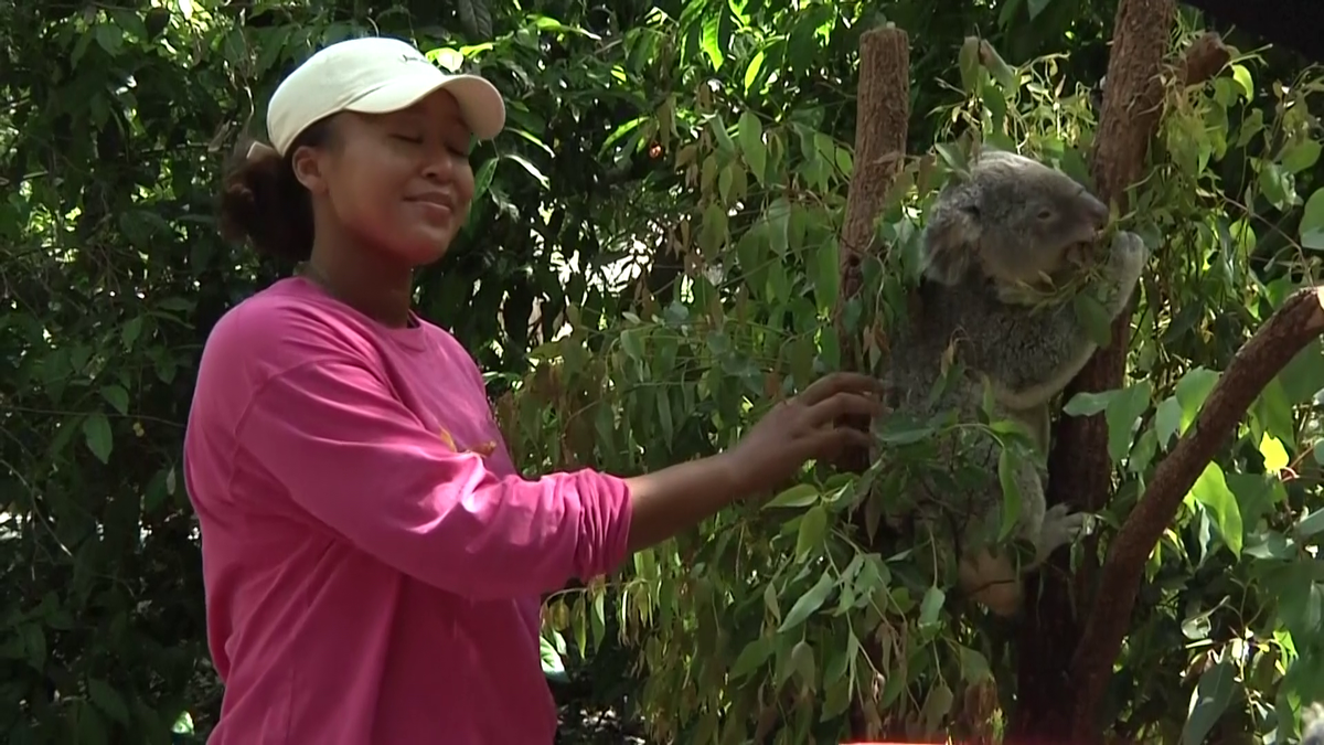 Naomi Osaka revine în tenis la șase luni după ce-a născut » Înainte de turneul de la Brisbane a vizitat urșii koala