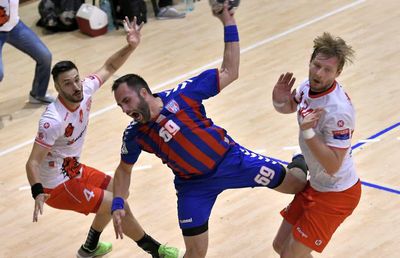 S-a reluat Liga Zimbrilor » Steaua și Baia Mare, victorii pe teren propriu