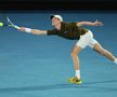 Novak Djokovic - Jannik Sinner, a doua semifinală de la Australian Open/Foto: Getty Images