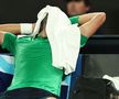 Novak Djokovic - Jannik Sinner, a doua semifinală de la Australian Open/Foto: Getty Images