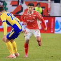 Dinamo - Petrolul, imagini de meci // foto: Ionuț Iordache (GSP) - Alex Musi