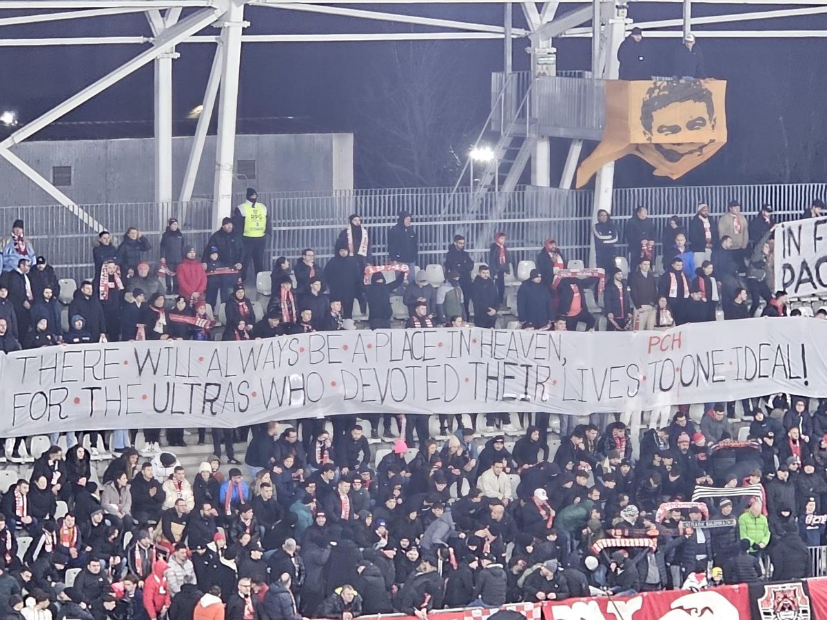 Bannere PCH Dinamo - Petrolul