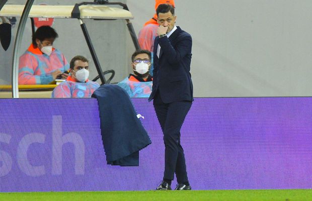 „Tricolorul” care are încredere totală în Mirel Rădoi: „Asta îmi place foarte mult!”