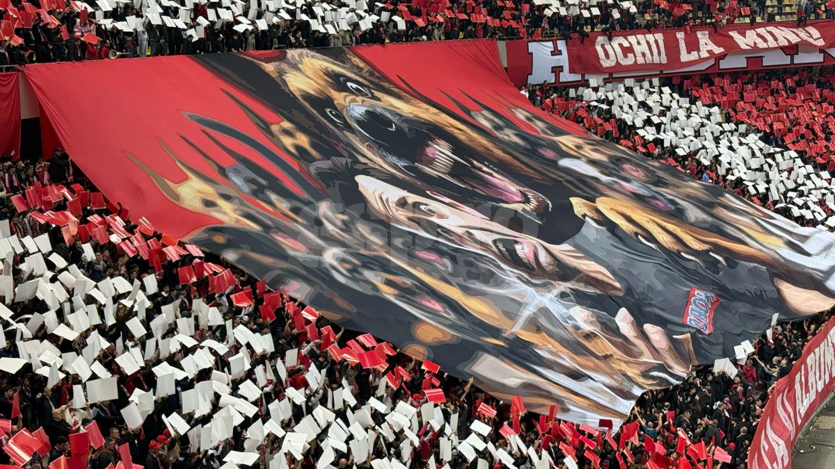 Scenografiile de la Dinamo - FCSB