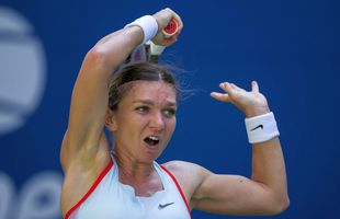 „Alții sunt la mijloc și trebuie evitați” » Teoria unui antrenor în „cazul Halep”