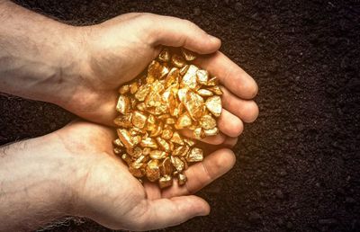 Un fermier a săpat în grădina sa și a dat peste o comoară de 150 de tone de aur! Incredibil ce a urmat