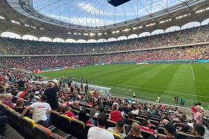 Amenzi după Dinamo - FC Argeș » 13 fani au fost interziși pe stadioane