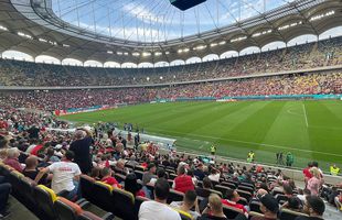 Amenzi după Dinamo - FC Argeș » 13 fani au fost interziși pe stadioane