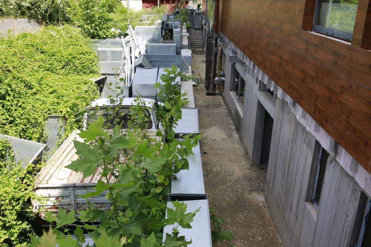 Se reiau lucrările în orașul care a dat mari campioane » Așteptare de 14 ani