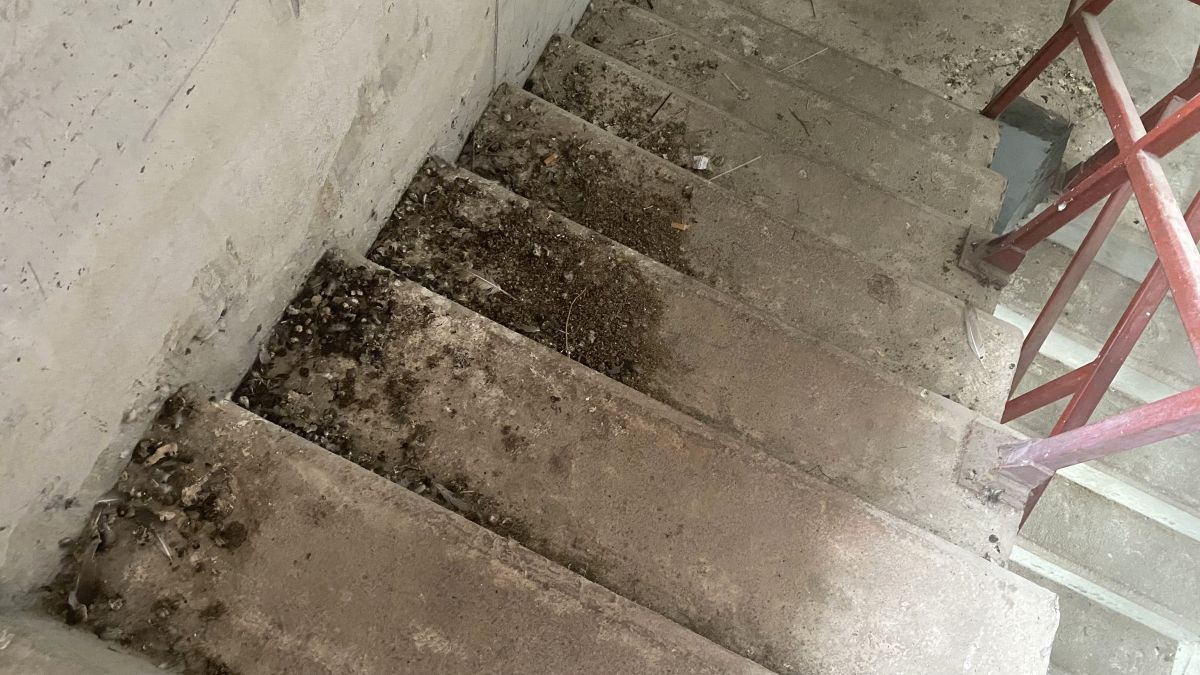 Cum a distrus Primăria București o bază sportivă » Dezastru lângă Arena Națională: „Un focar de infecție”