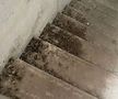 Scările de acces spre terasă sunt pline cu excremente de la păsări
