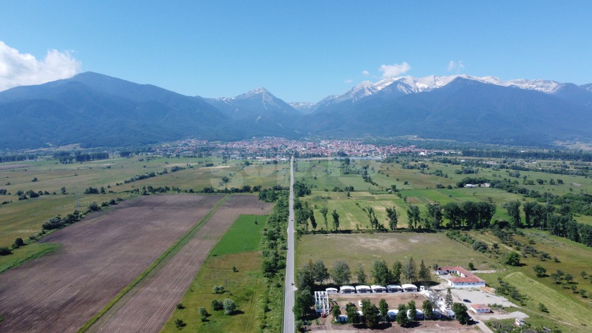 Antrenament Universitatea Craiova, 30 iunie 2023