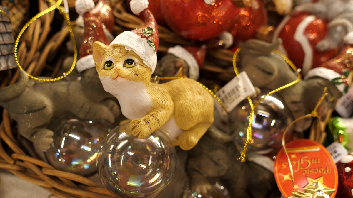 Reportaj GSP din singurul oraș din lume unde Crăciunul este sărbătorit zilnic!