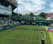 ATP Halle 2023 - foto de Ion Geantă
