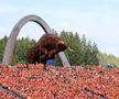 Fanii Red Bull în tribunele de la Spielberg - Marele Premiu al Austriei 2024 Foto: Imago
