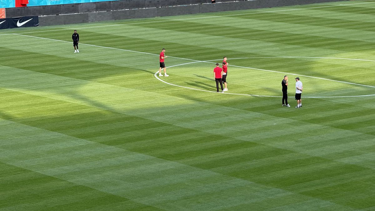 Gazon Arena Nationala 30 iulie