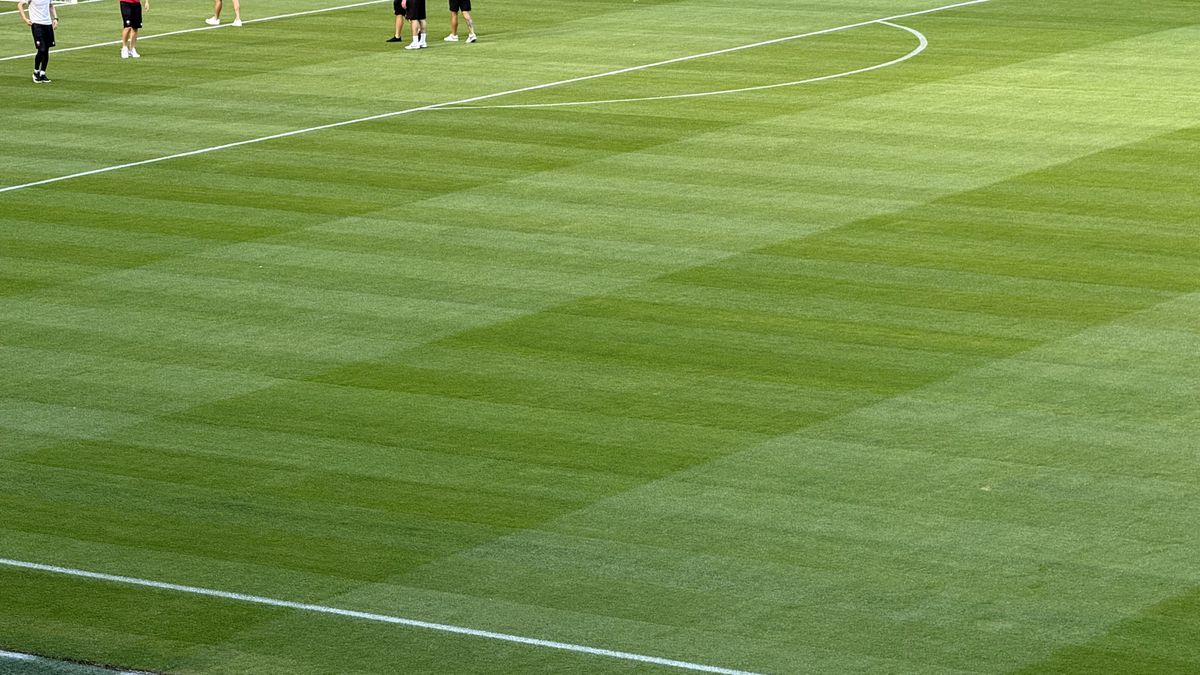 FCSB - Shkendija se joacă pe un gazon impecabil! Imagini de la Arena Națională, înaintea meciului capital de calificare