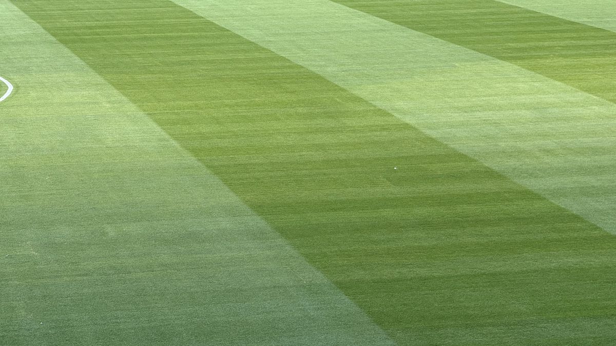 FCSB - Shkendija se joacă pe un gazon impecabil! Imagini de la Arena Națională, înaintea meciului capital de calificare