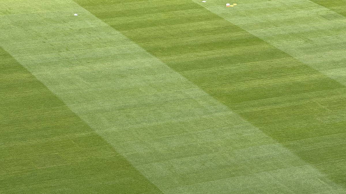 FCSB - Shkendija se joacă pe un gazon impecabil! Imagini de la Arena Națională, înaintea meciului capital de calificare