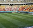 FCSB - Shkendija se joacă pe un gazon impecabil. Foto: Andrei Crăițoiu (GSP.RO)
