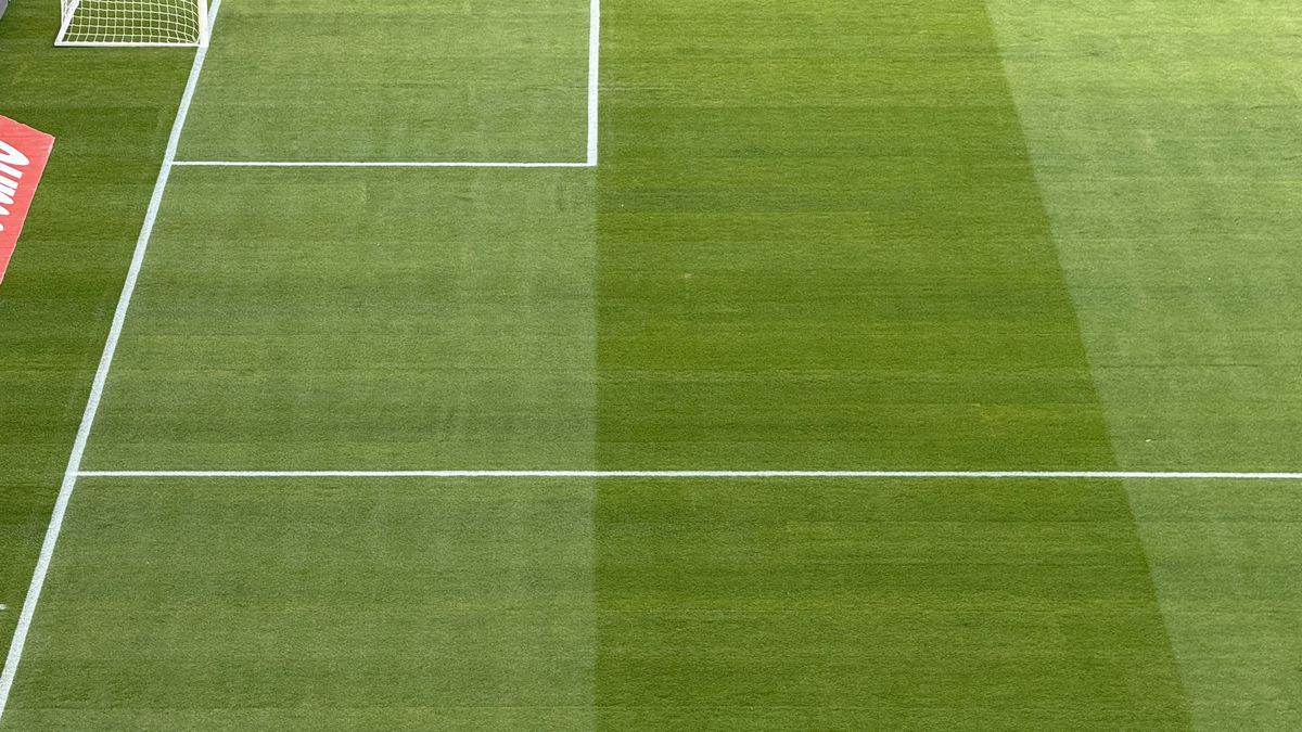 FCSB - Shkendija se joacă pe un gazon impecabil! Imagini de la Arena Națională, înaintea meciului capital de calificare