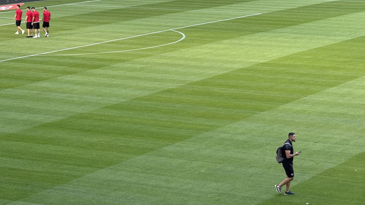 FCSB - Shkendija se joacă pe un gazon impecabil! Imagini de la Arena Națională, înaintea meciului capital de calificare