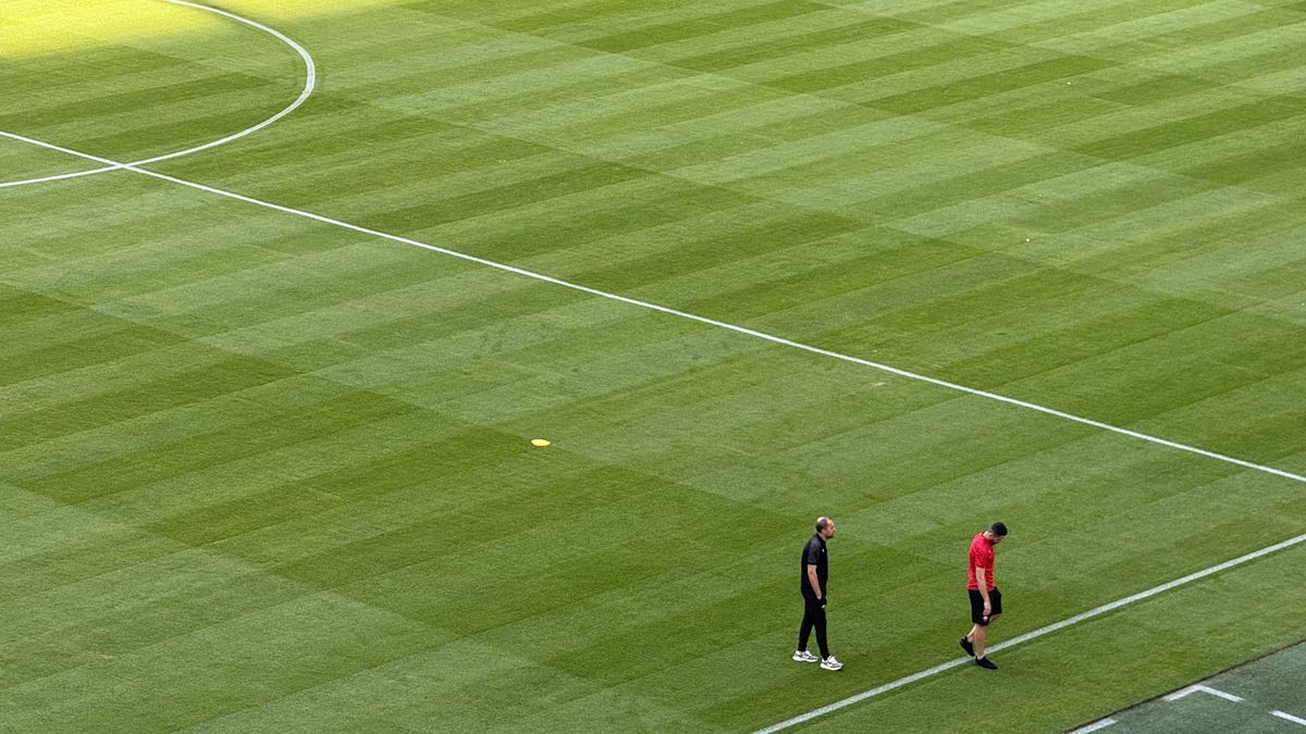 Gazon Arena Nationala 30 iulie