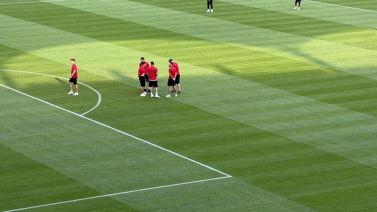 FCSB - Shkendija se joacă pe un gazon impecabil! Imagini de la Arena Națională, înaintea meciului capital de calificare