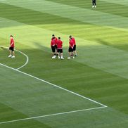 FCSB - Shkendija se joacă pe un gazon impecabil. Foto: Andrei Crăițoiu (GSP.RO)