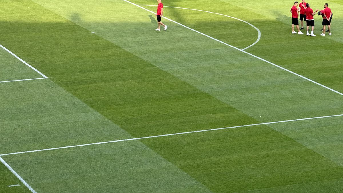 FCSB - Shkendija se joacă pe un gazon impecabil! Imagini de la Arena Națională, înaintea meciului capital de calificare