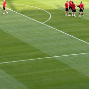 FCSB - Shkendija se joacă pe un gazon impecabil. Foto: Andrei Crăițoiu (GSP.RO)