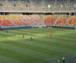 FCSB - Shkendija se joacă pe un gazon impecabil. Foto: Andrei Crăițoiu (GSP.RO)