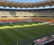 FCSB - Shkendija se joacă pe un gazon impecabil. Foto: Andrei Crăițoiu (GSP.RO)