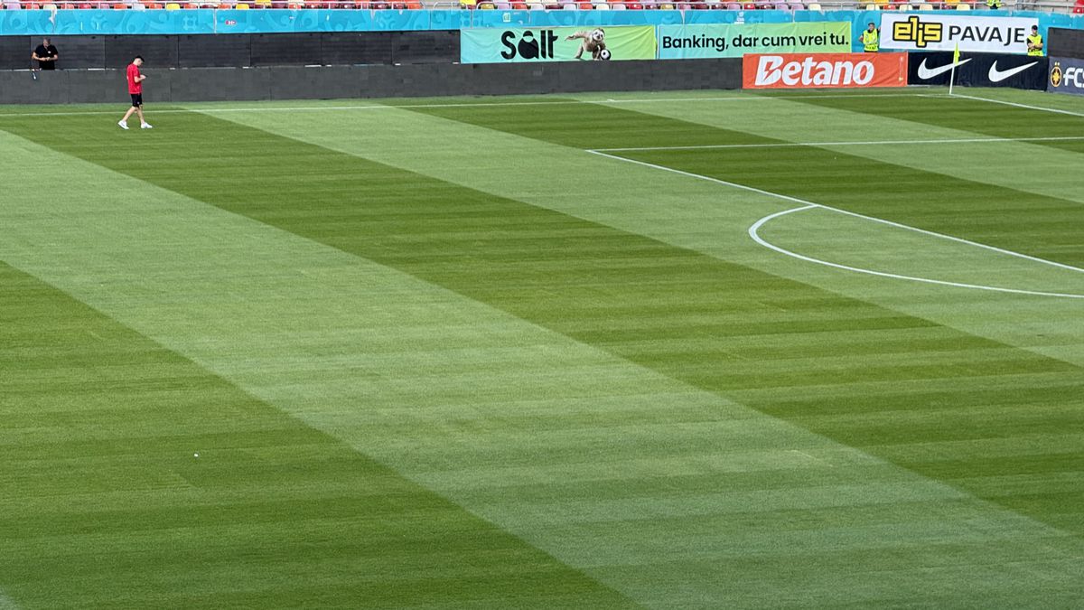 FCSB - Shkendija se joacă pe un gazon impecabil! Imagini de la Arena Națională, înaintea meciului capital de calificare