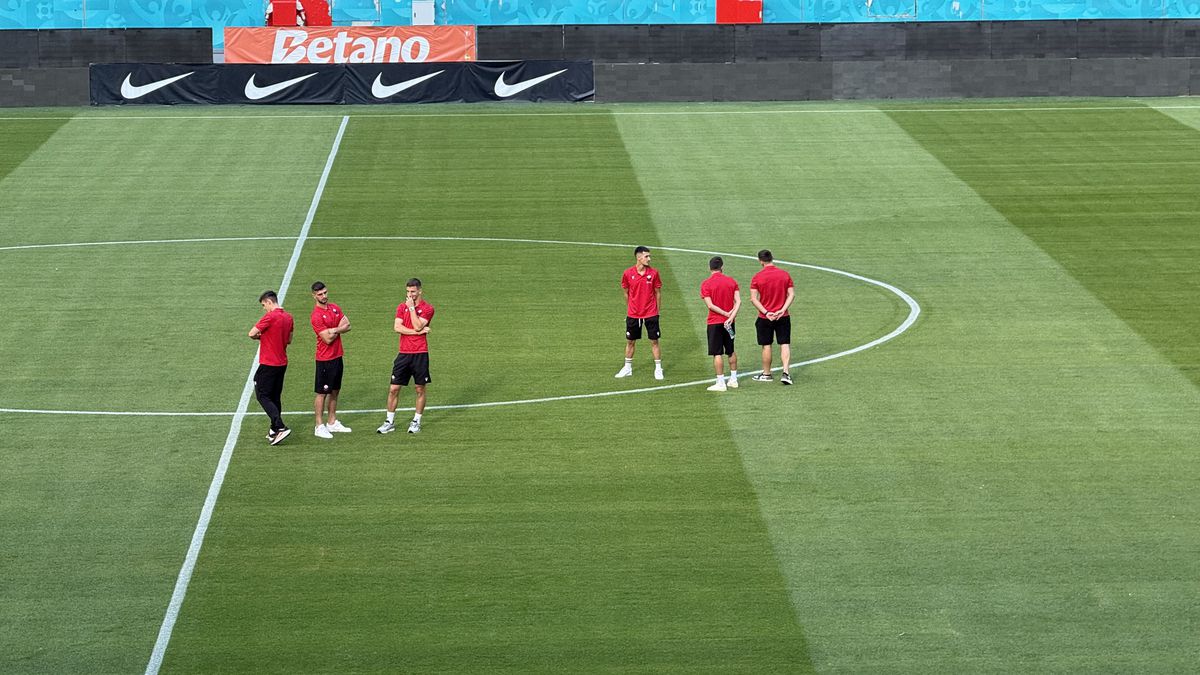 FCSB - Shkendija se joacă pe un gazon impecabil! Imagini de la Arena Națională, înaintea meciului capital de calificare