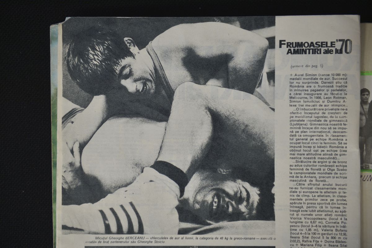 Gheorghe Berceanu - In memoriam