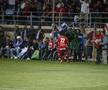 DINAMO - FCSB, finala Cupei României din 2011