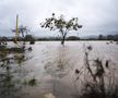 Inundații devastatoare în Valencia, foto: Imago Images