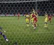 DINAMO - FCSB, finala Cupei României din 2011