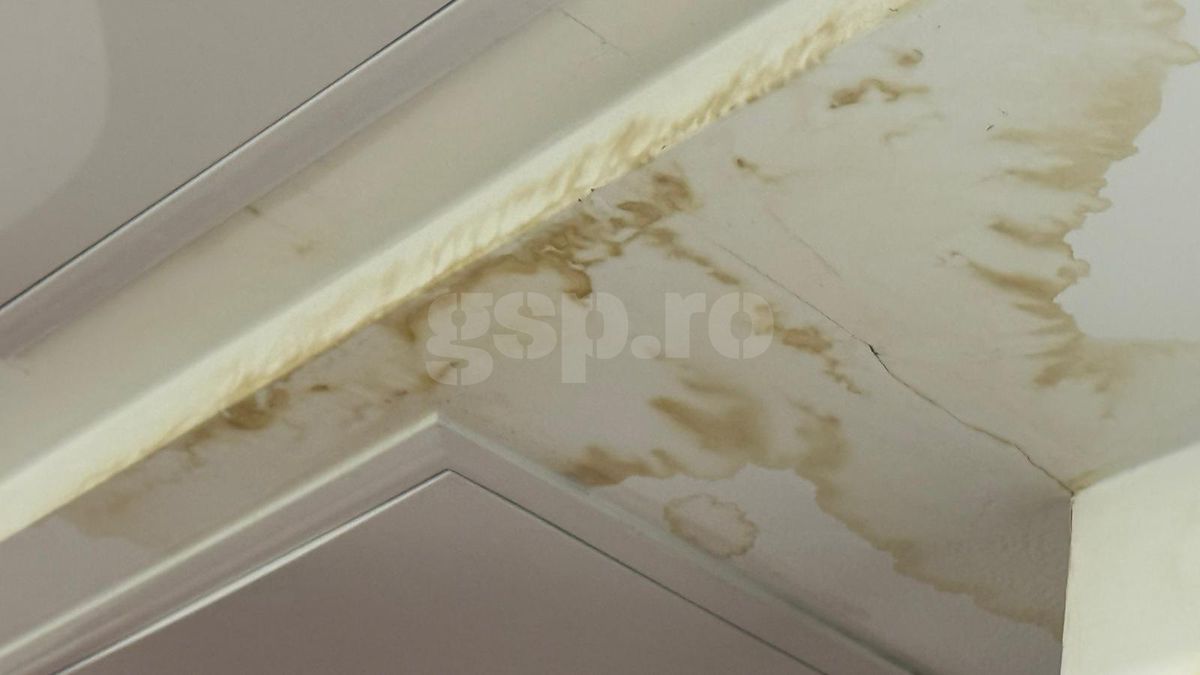 VIP, dar nu prea! Primele probleme la stadionul din Giulești, la 3 ani de la inaugurare » Imaginile surprinse de GSP înainte de Dumbrăvița - Rapid