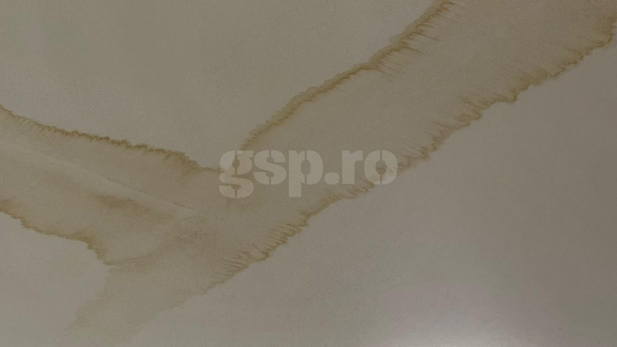 VIP, dar nu prea! Primele probleme la stadionul din Giulești, la 3 ani de la inaugurare » Imaginile surprinse de GSP înainte de Dumbrăvița - Rapid