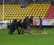 FOTO Voluntari - FCSB