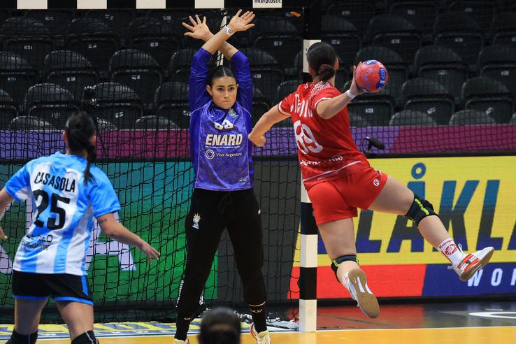 Imagini de la meciul Austria - Argentina FOTO: Ionuţ Iordache (GSP)