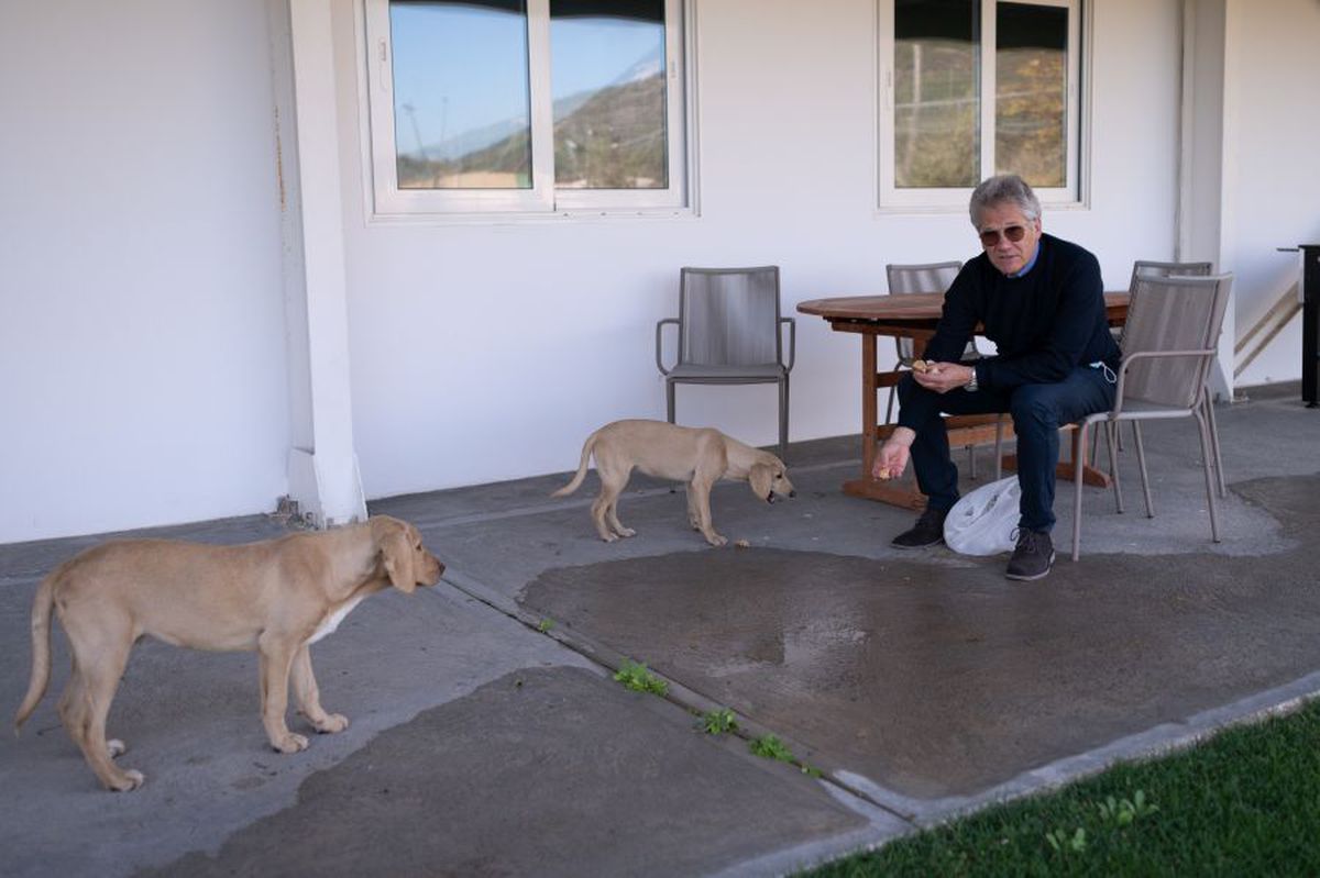 EXCLUSIV Ladislau Boloni, interviu spectaculos: care este problema fotbalistului român, ce spune despre războiul FCSB - CSA și cum cântărește o posibilă revenire în fotbalul românesc