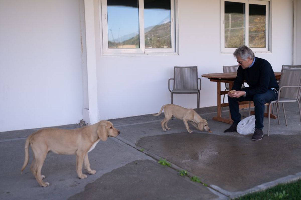 EXCLUSIV Ladislau Boloni, interviu spectaculos: care este problema fotbalistului român, ce spune despre războiul FCSB - CSA și cum cântărește o posibilă revenire în fotbalul românesc