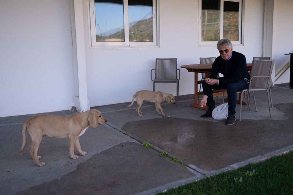 Ladislau Boloni Legendă GSP