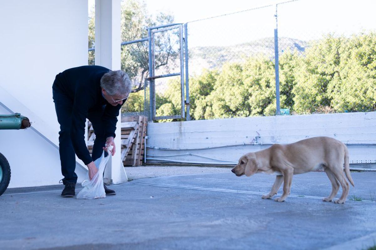 Ladislau Boloni, atacat dur în Grecia: „Panathinaikos s-a întors în paleoliticul fotbalului”