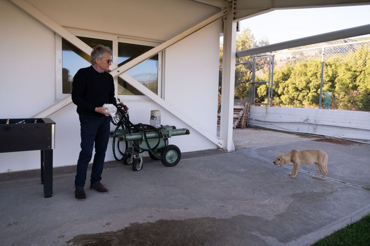 Ladislau Boloni, atacat dur în Grecia: „Panathinaikos s-a întors în paleoliticul fotbalului”