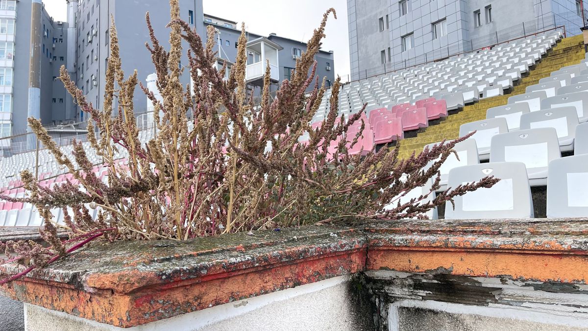 Proiectul stadionului Dinamo a trecut de Consiliul Tehnico-Economic al CNI » Ce înseamnă asta și ce pași urmează