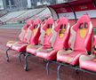 Proiectul stadionului Dinamo a trecut de Consiliul Tehnico-Economic al CNI » Ce înseamnă asta și ce pași urmează